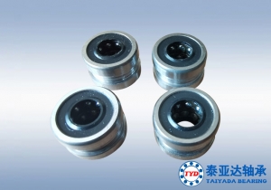 单向番茄视频APP在线观看